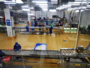 多圖首發(fā)！解密水產(chǎn)智能化工廠與文化館，探索未來(lái)水產(chǎn)新生態(tài)